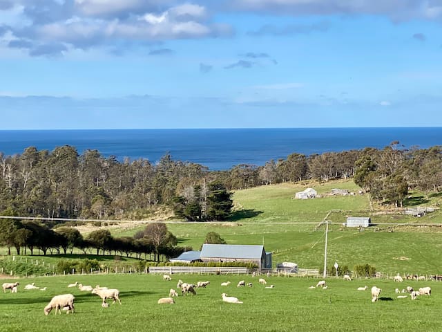 Derford Farm Stay – The Barn