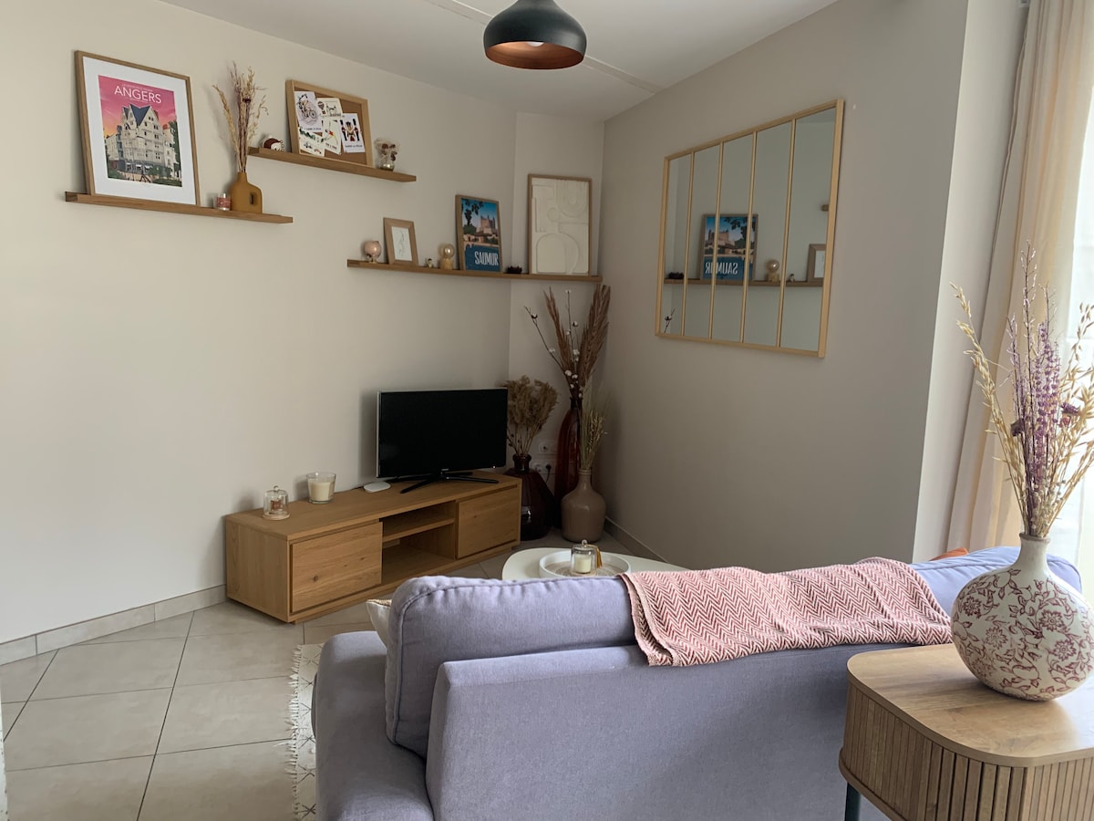 Annonce Airbnb populaire: Downtown house 6 guests St Serge à Angers