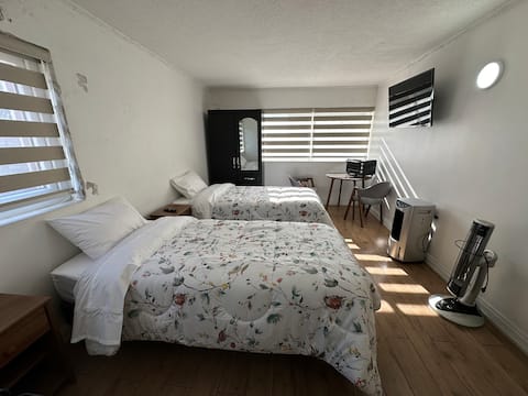 Top performing Airbnb: TinyApartments - studio in downtown Concepción in Concepcion