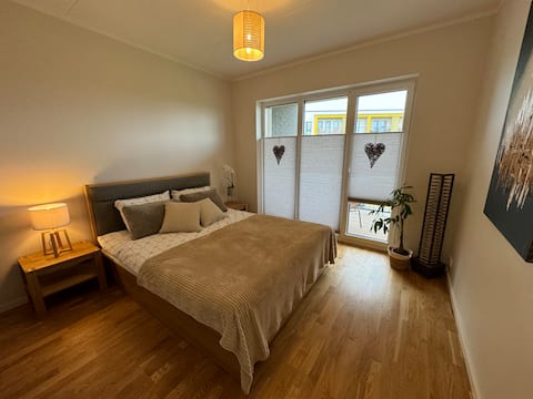 Spacious Stylish Apartment in Silk City
