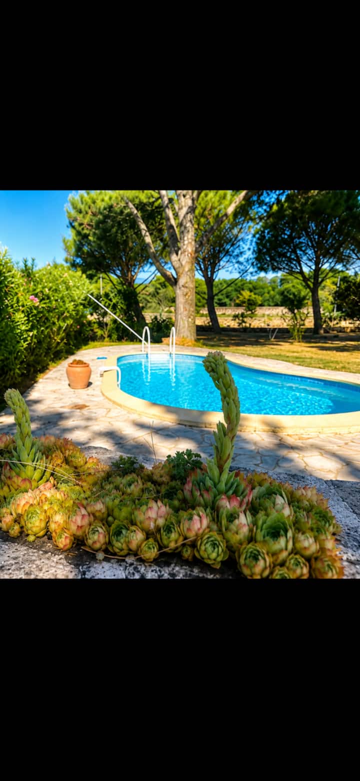 Maison Et Piscine Au Milieu De La Nature - Montélimar