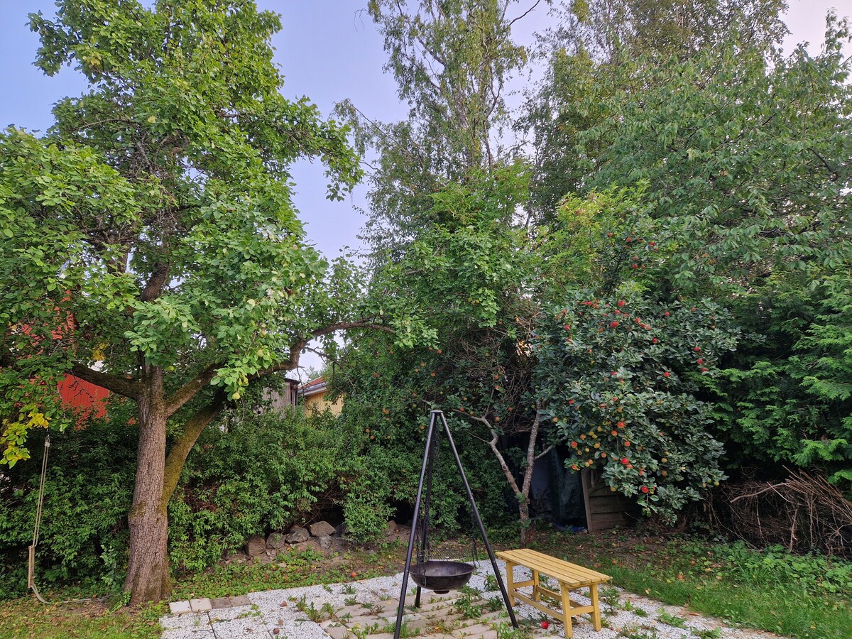 A spacious garden area is surrounded by lush trees and greenery, featuring a fire pit set on a stone patio. A wooden bench offers seating, inviting relaxation in a natural setting. Fruit-bearing trees enhance the tranquil environment.