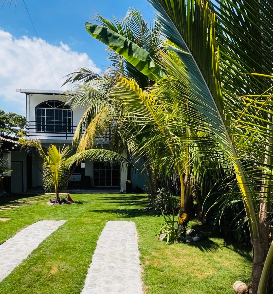 A lush green lawn is framed by tall palm trees, creating a natural pathway. The well-maintained grass leads to a house with large arched windows, allowing light to fill the interior. A clear blue sky enhances the tranquil setting.
