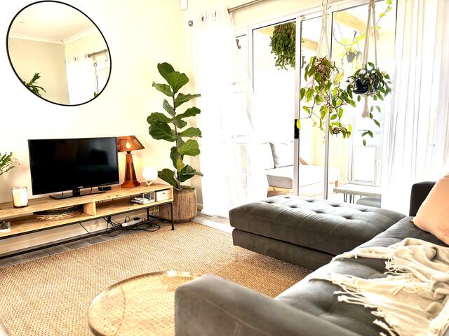 Front Row Seat to Table Mountain gallery image 2