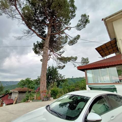 Nizzy House VILLA Taş Ev nizzyvillarent