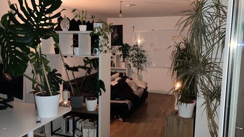 Successful Airbnb property: Central, comfy and green. 50qm2 incl. balcony in St. Vinzenz