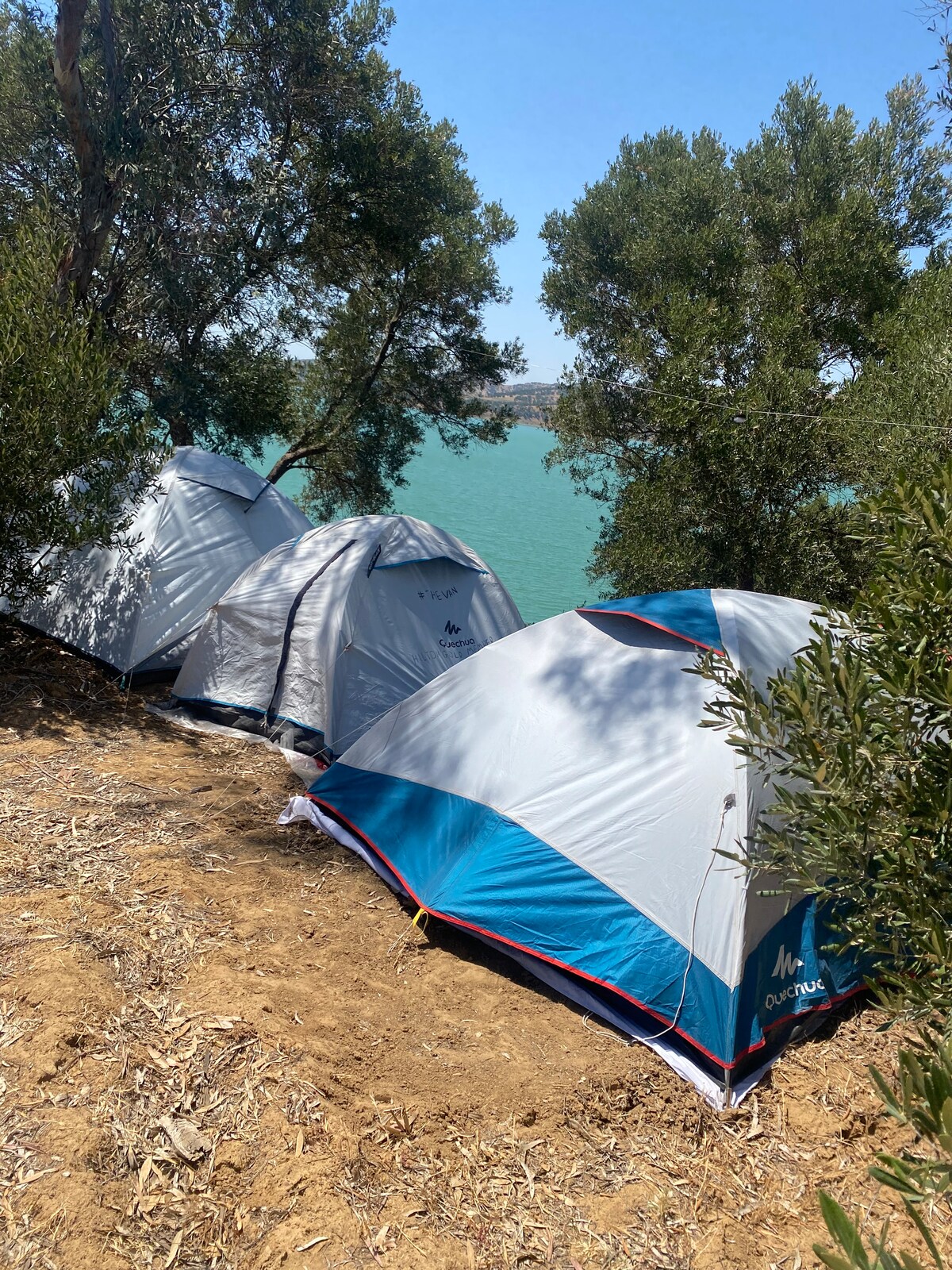Three camping tents are set up on a sandy area near water, surrounded by greenery. The tents feature blue and gray colors, and their positions create a cozy camping arrangement, with a view of the water in the background.