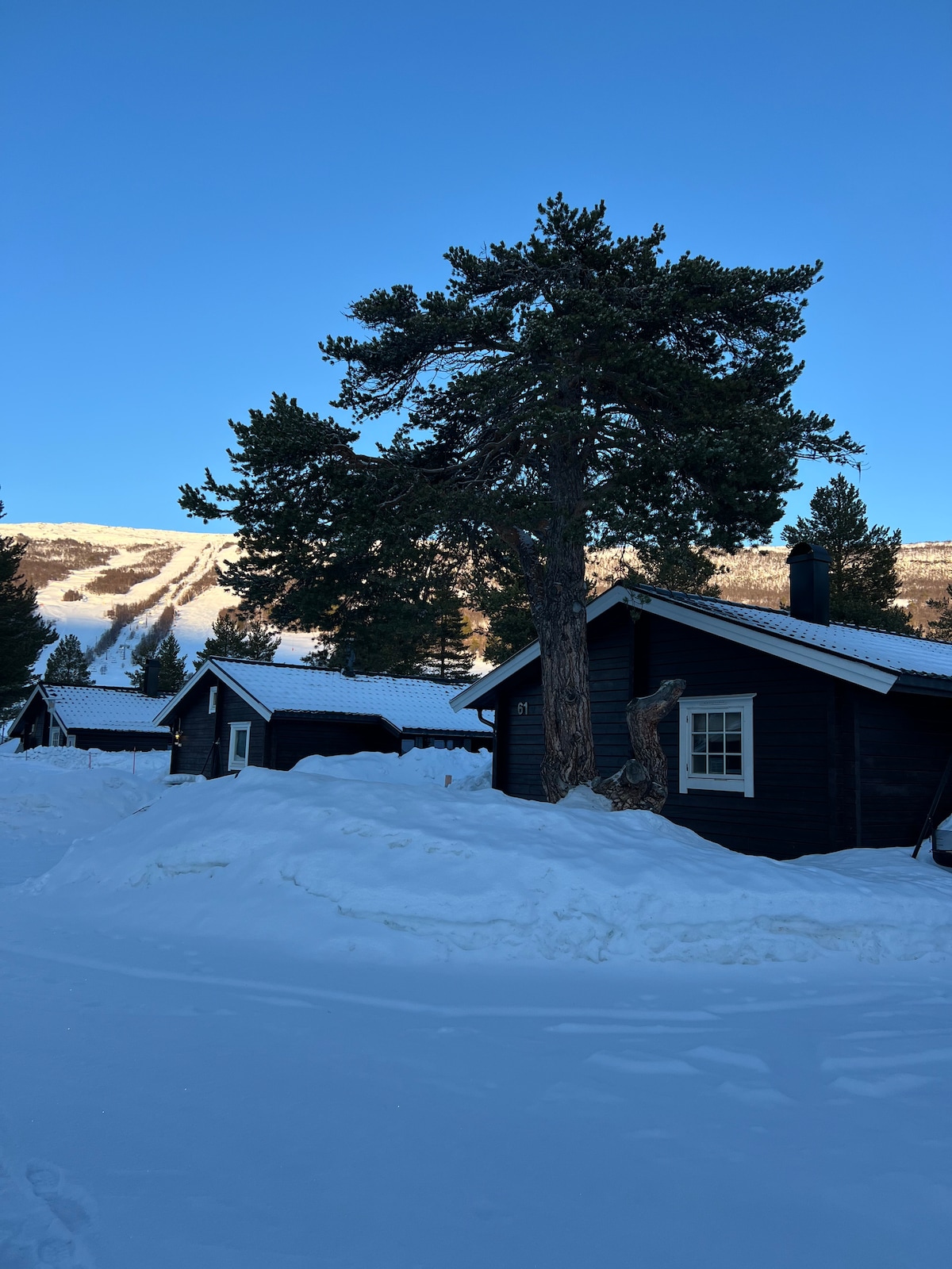 The exterior of a dark wooden cabin is shown amidst a snowy landscape, with a large tree nearby. Mountain slopes are visible in the background under a clear blue sky, indicating a tranquil winter setting.