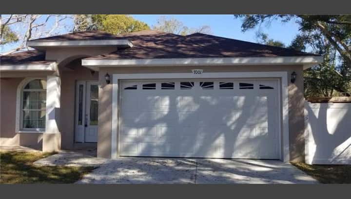 Cozy 1 Bedroom Efficiency - Tampa, FL