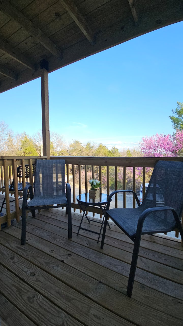 Lakeview Studios #10 ~4 Mins To Sdc - Kimberling City, MO