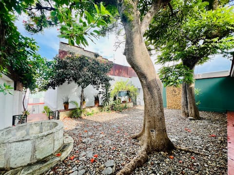 "Aves de Xochimilco" House Center