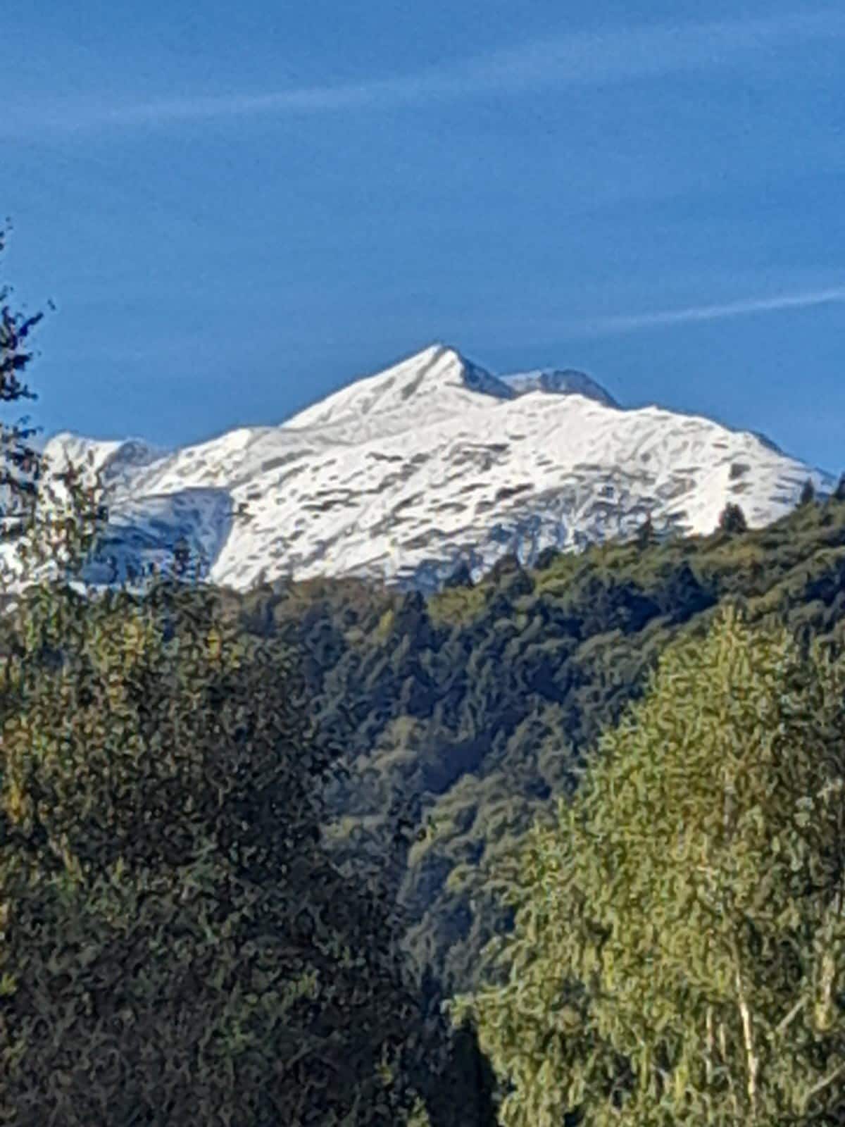 Majestic snow-capped mountain peaks rise above a lush forest, displaying a contrast between the white snow and the greenery. The clear blue sky enhances the serene atmosphere of this natural landscape.