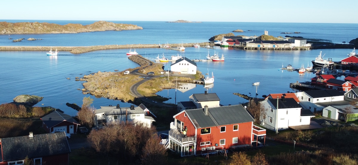 A serene coastal view features a vibrant harbor, with boats anchored and a calm sea reflecting the blue sky. Nearby houses, including a red building, are surrounded by greenery and rocky outcrops, enhancing the peaceful atmosphere of this seaside location.