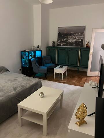 Apartment next to Oktoberfest