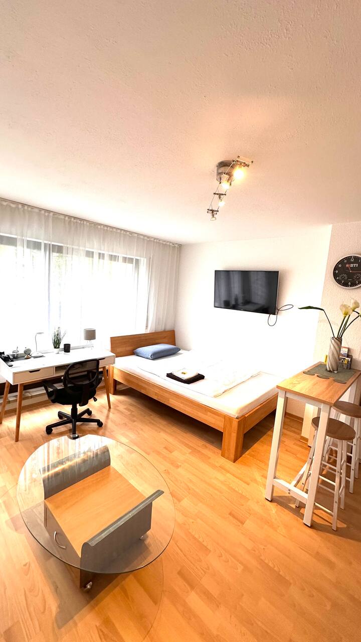Wiesbaden Studio-terrasse, Haustiere, Zentral - Wiesbaden