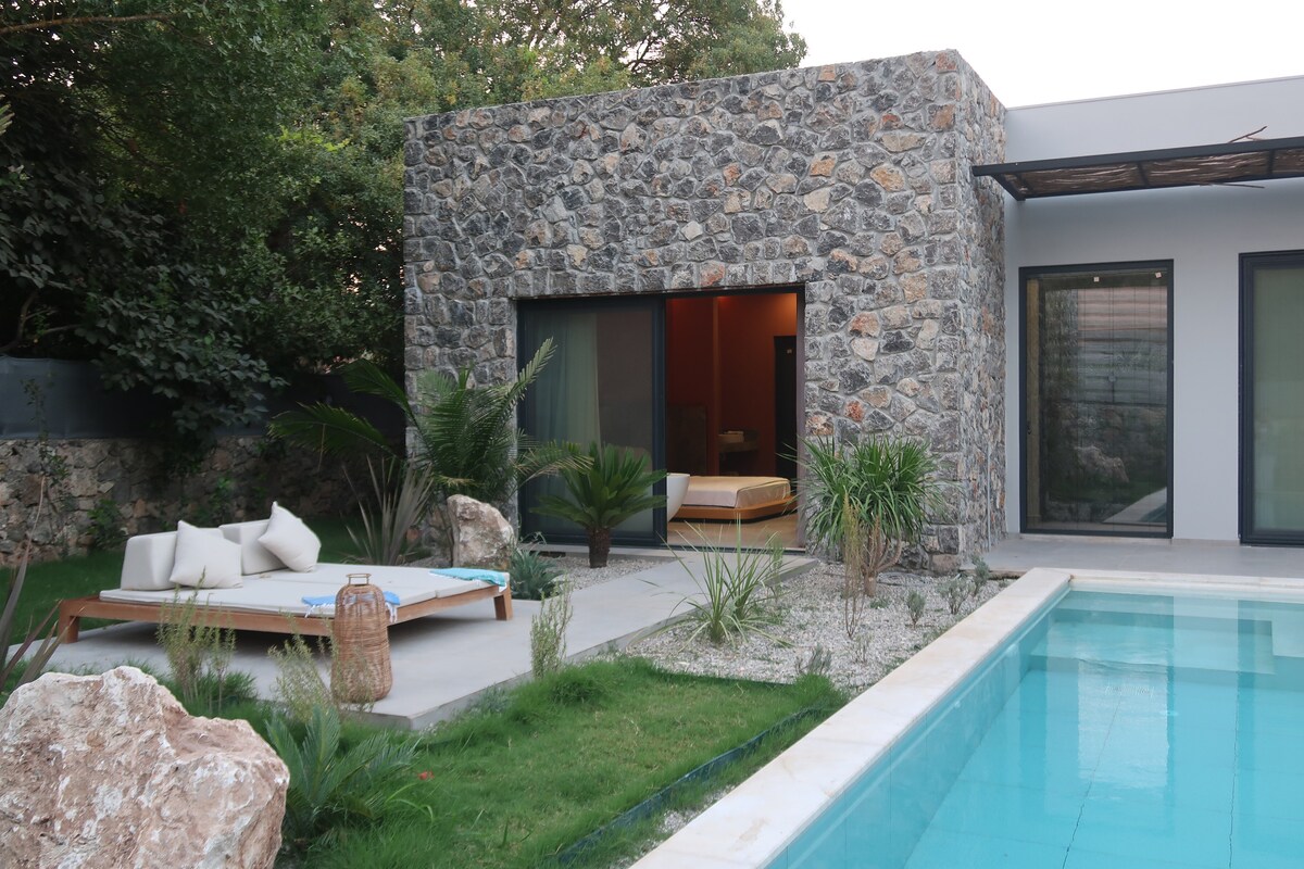 A modern stone structure with large glass doors opens to a vibrant outdoor space. The inviting pool reflects the surrounding greenery, complemented by a wooden lounge area featuring comfortable seating. Native plants and rocks enhance the overall natural ambiance.