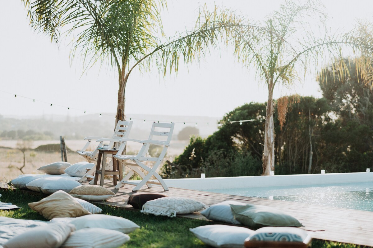 A serene outdoor area is highlighted by two tall palm trees beside a tranquil pool. Wooden lounge chairs are positioned on a deck, with scattered decorative pillows on the grass, creating a casual and inviting space for relaxation.