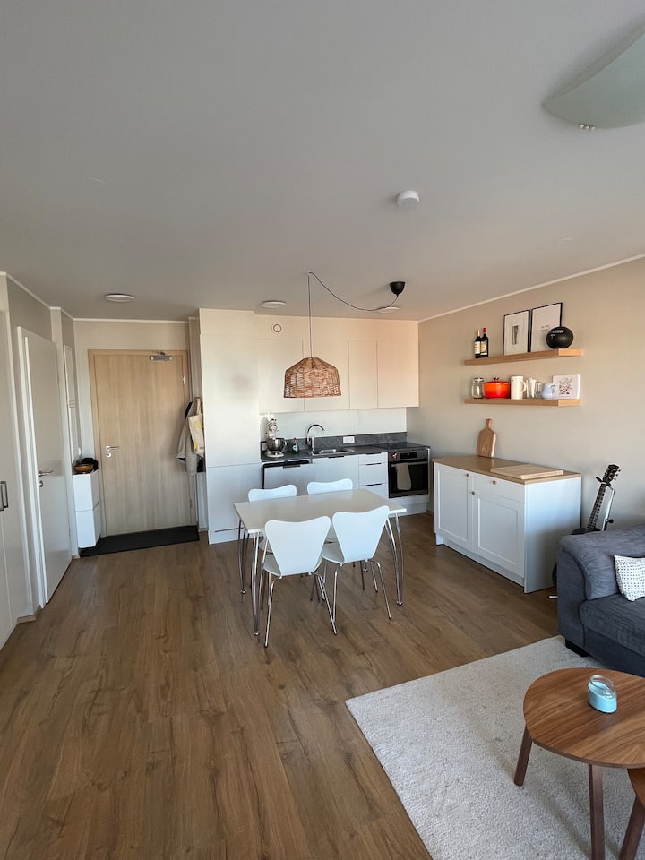 Ocean View Apartment - Reykjavík