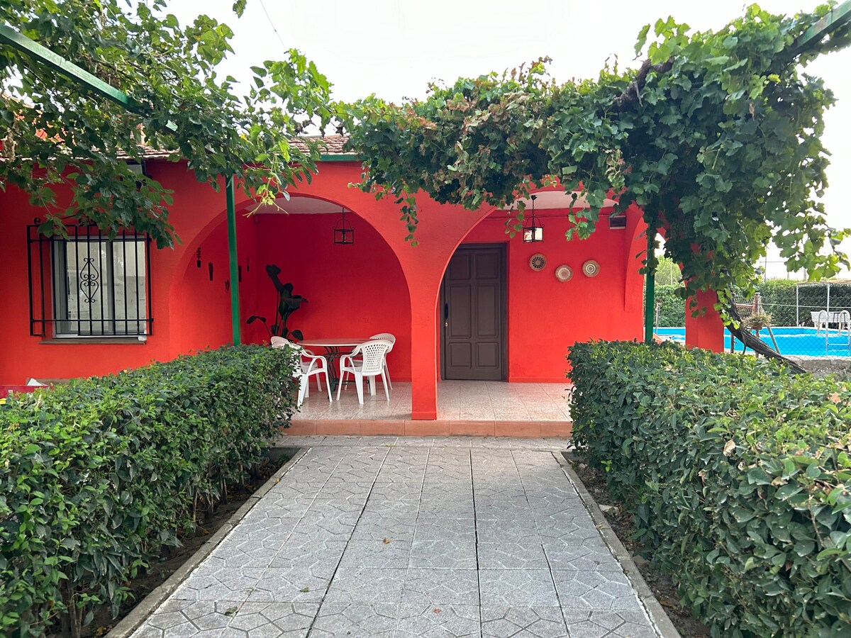 A vibrant entrance is framed by lush greenery and grapevines, leading to a shaded seating area with two white chairs and a small table. The exterior walls are painted a warm red, complemented by arched doorways that add architectural interest.