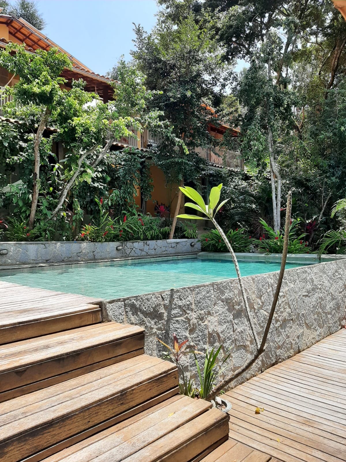 A serene pool area is surrounded by lush tropical greenery, featuring a stone wall and wooden steps leading to the water. Vibrant plants complement the natural setting, while the gentle slope of the landscaping creates an inviting atmosphere for relaxation.