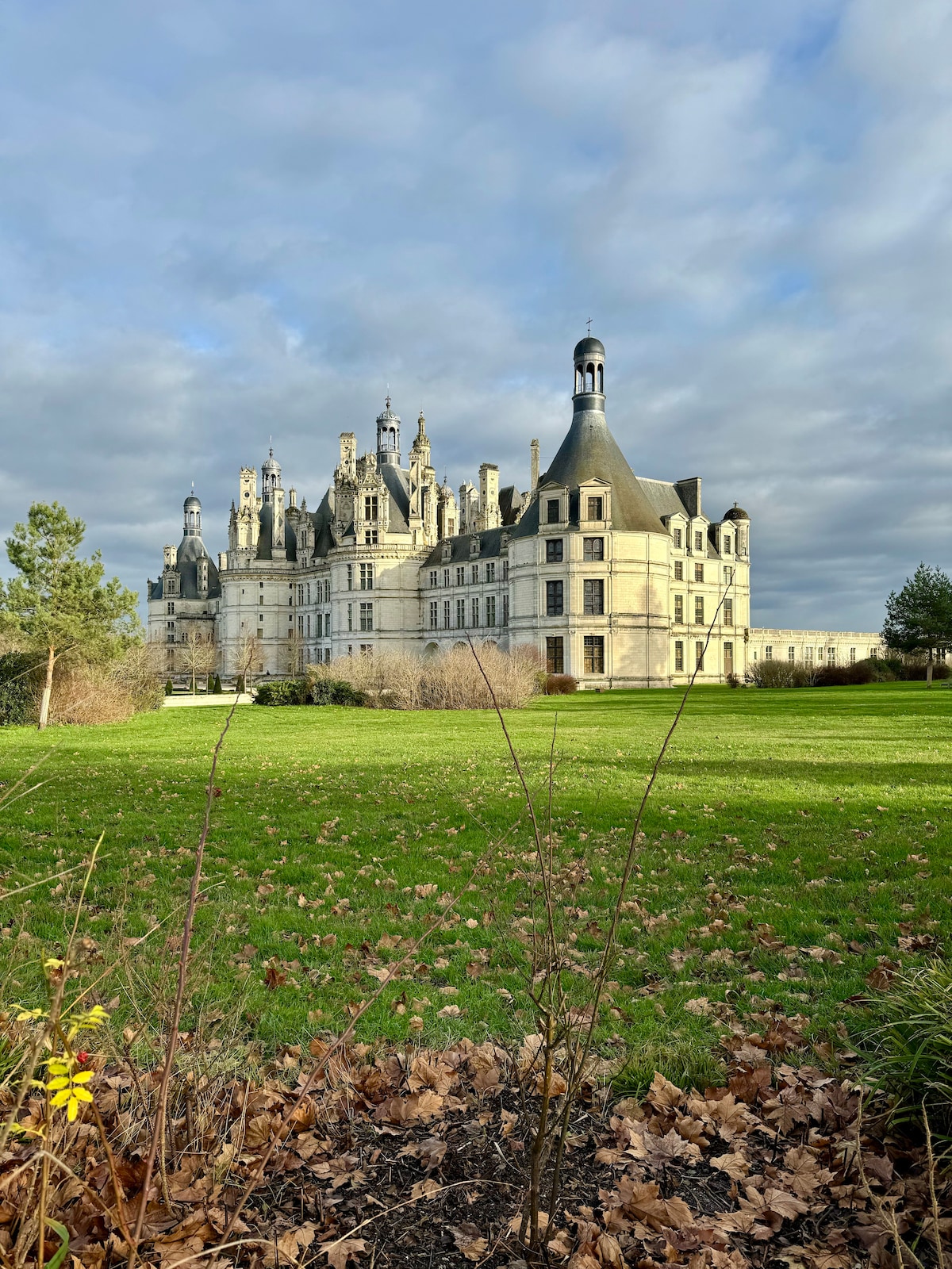 A grand chateau stands in the distance against a cloudy sky. Its intricate architecture features multiple turrets and ornate details. Lush green grass surrounds the building, with remnants of autumn leaves in the foreground, creating a serene outdoor setting.
