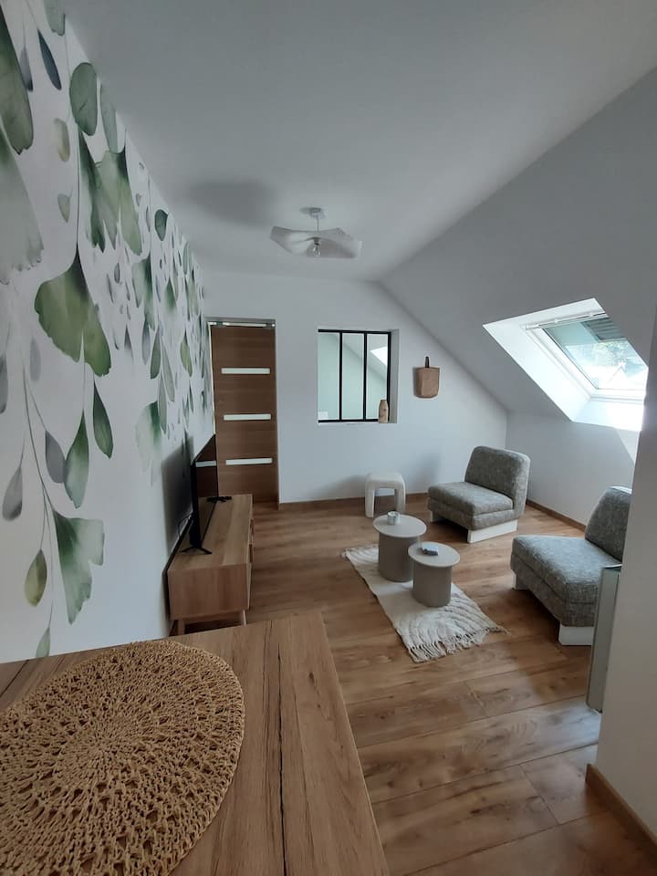 Appartement Plage Jacuzzi - Camiers