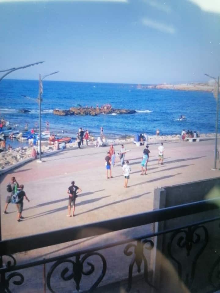 Darius - Jijel
