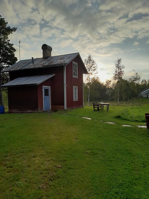 cozy cottage at the edge of the forest