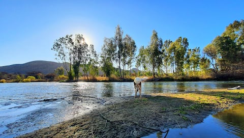 Honeypot Fly Fishing Eco Chalet