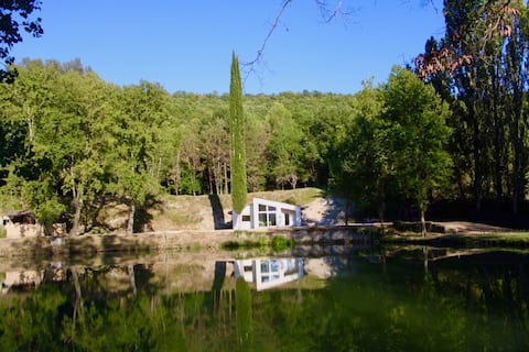 House on the lake Springs in the woods