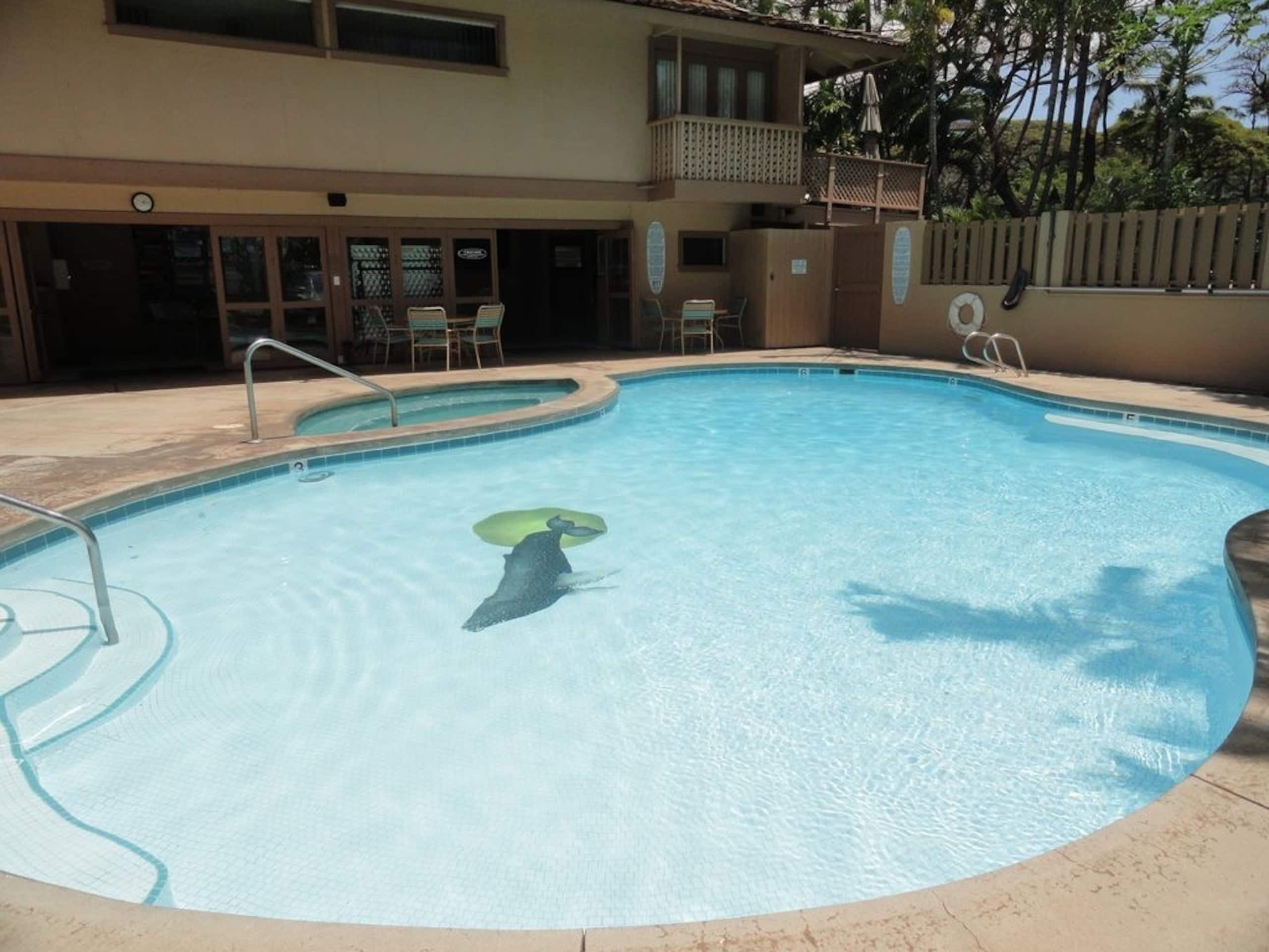 Condo in Lahaina · ★4.89 · 1 bedroom · 1 bed · 1 bath - Image 15