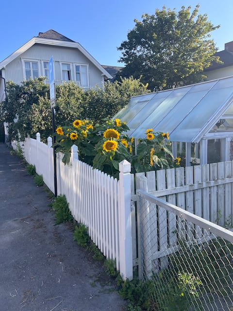 House for rent in Hamar