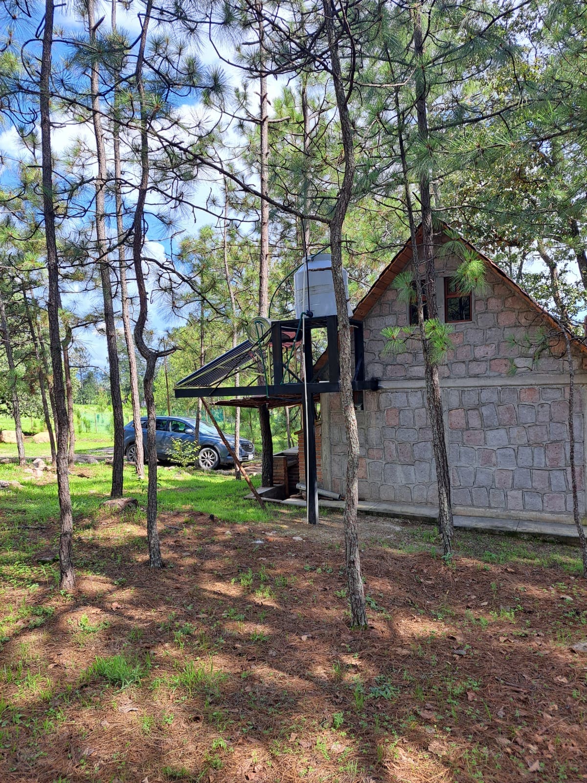 A charming cabin is nestled among tall pine trees, featuring a stone exterior and a sloped roof. A car is parked nearby, and the surrounding area is covered in soft pine needles, providing a natural setting for guests.