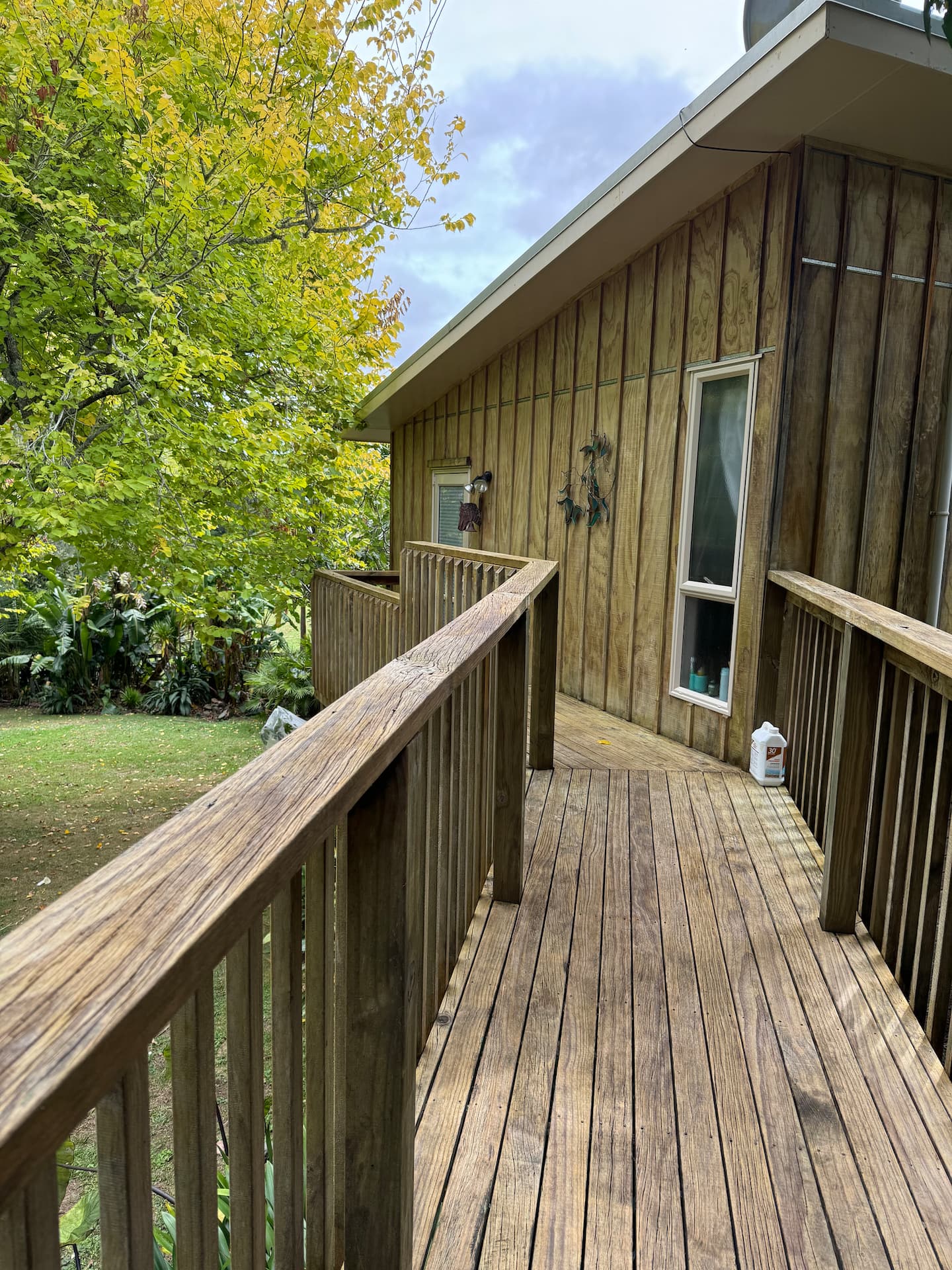 Tree Top Cottage树上小木屋bay Of Islands, Paihia 2