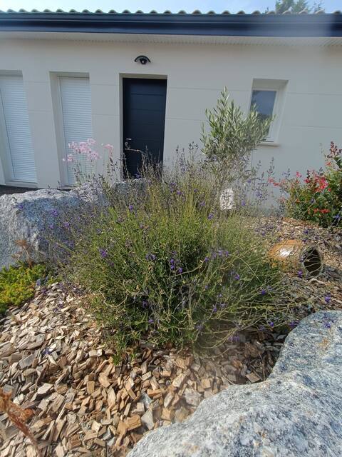 3 comfortable bedrooms