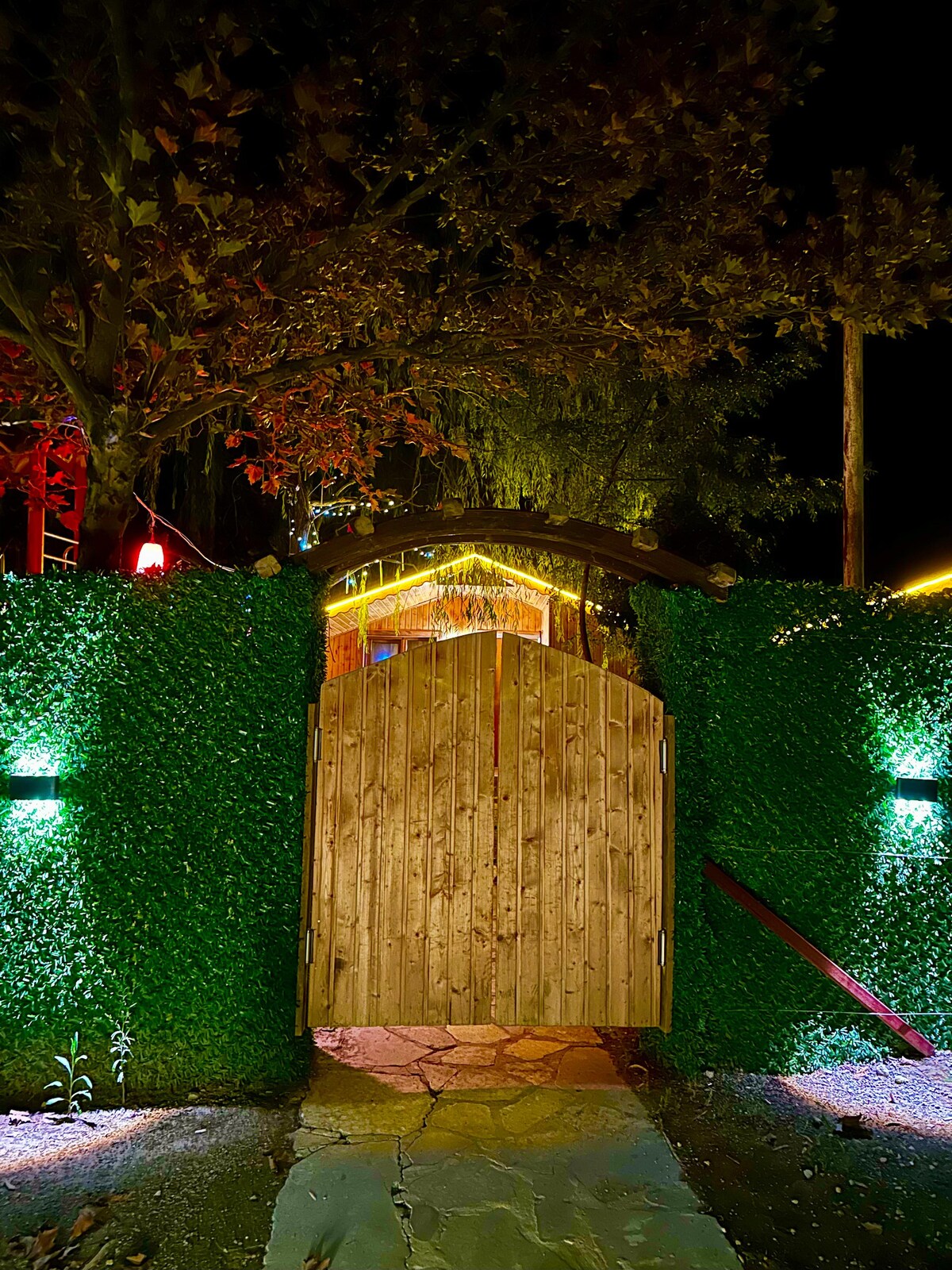 A wooden gate bordered by lush green foliage provides an inviting entrance. Soft lights illuminate the gate, highlighting the natural textures of the wood and surrounding plants. A stone pathway leads towards the entrance, framed by softly glowing lights among the trees.