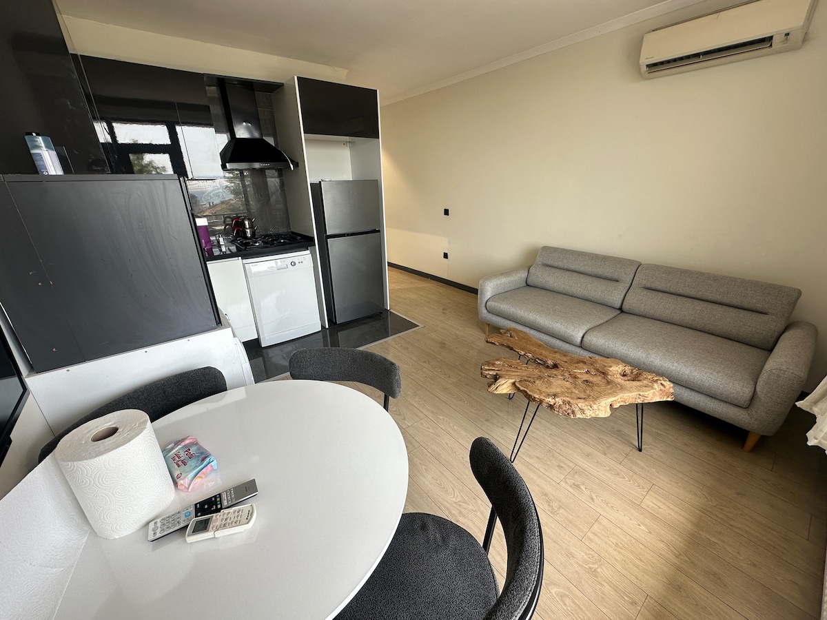 Müstakil Girişli Tek Katlı 1+1