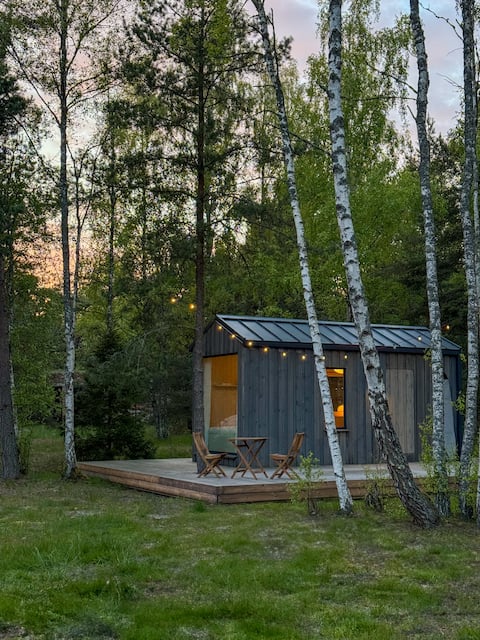South Cabin Pavilosta