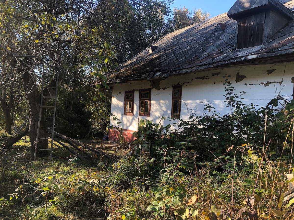An old wooden house is partially hidden by lush greenery, with a weathered exterior and three small windows. Surrounding foliage includes trees and tall grasses, suggesting a natural, serene atmosphere. A rustic ladder leans against the house, adding to its charm.