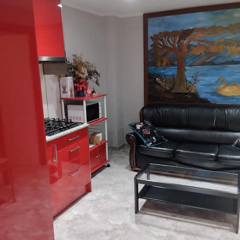 Entire private apartment.