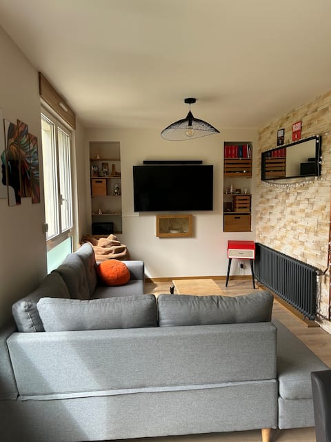 Successful Airbnb property: Bright apartment in Dijon
