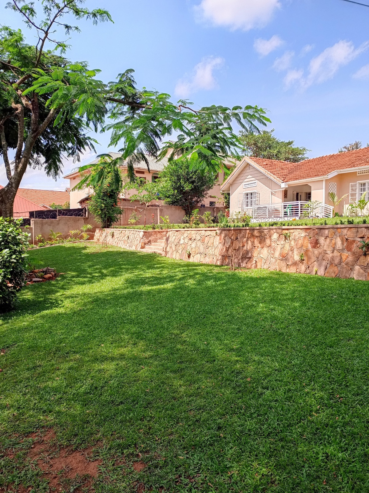 A spacious backyard features lush green grass, bordered by a stone wall. The surrounding trees provide shade, and two neighboring houses are visible in the background under a clear blue sky.