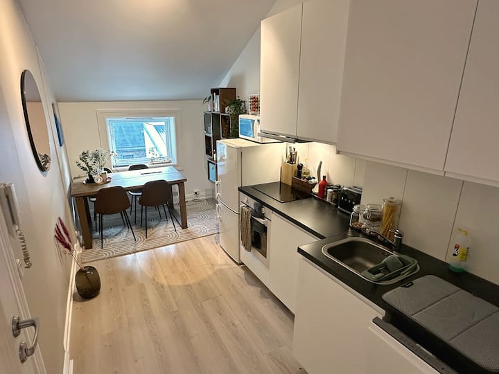 Chic Top Floor Loft  - Perfect Location - Oslo