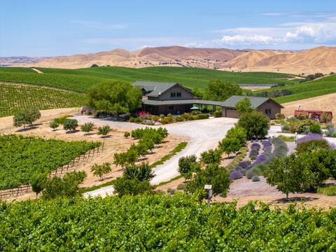 Luxury Vineyard Home, 360° Views, Pickleball, BBQ