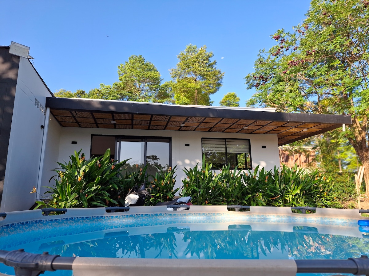 A modern structure is framed by lush greenery, with a covered porch creating a shaded area. The swimming pool is visible in the foreground, featuring clear water and integrated seating along the edges. Large glass windows provide views into the interior space.