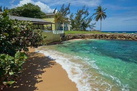 Sea Mist at Sea Palms