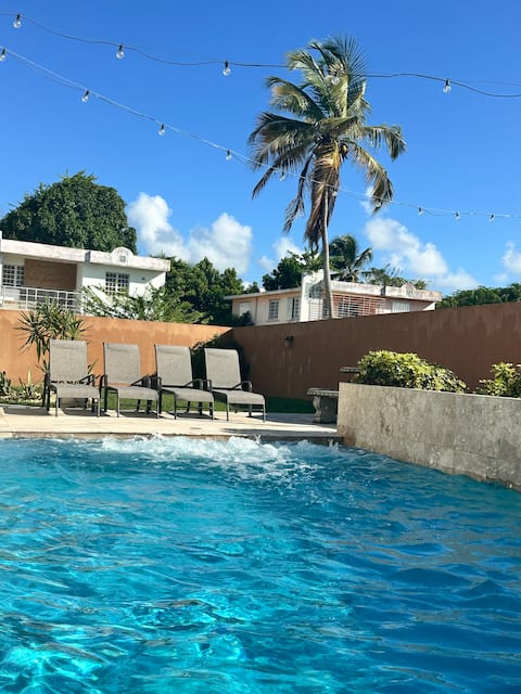 Morning Glory at Villa Palmira