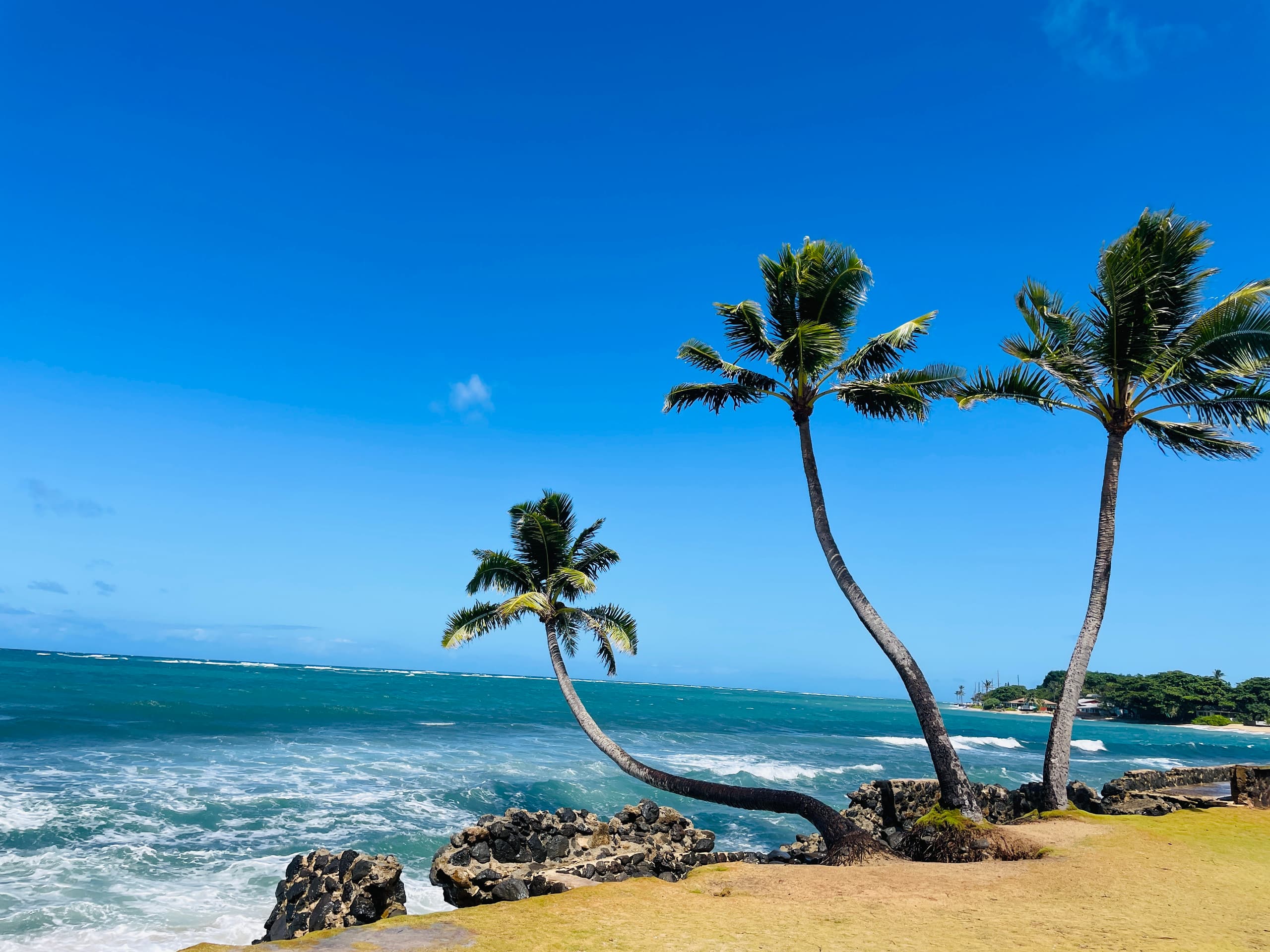 Cozy Waikiki Studio · Walk to Beach · City View - Image 12