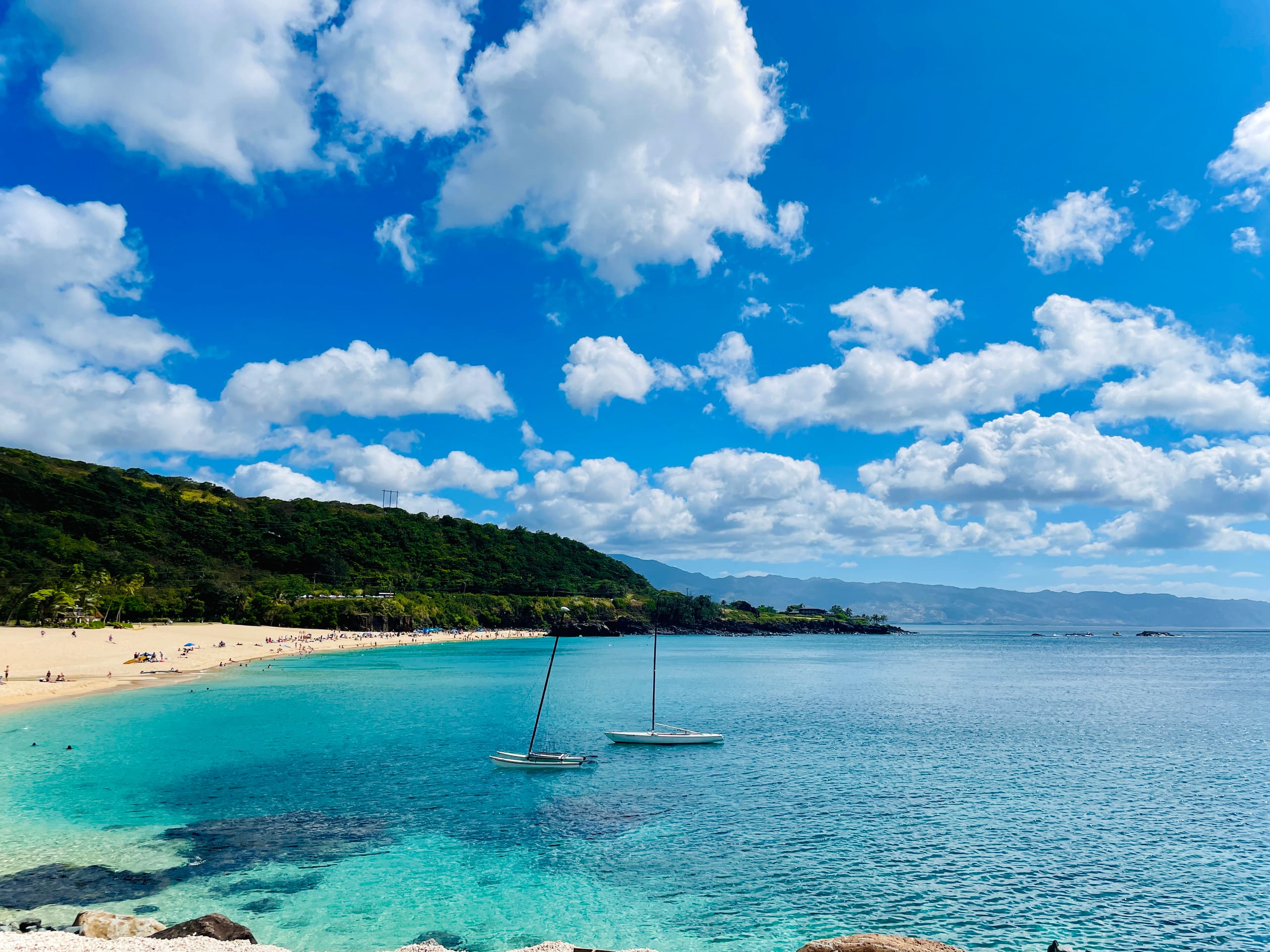 Cozy Waikiki Studio · Walk to Beach · City View - Image 13
