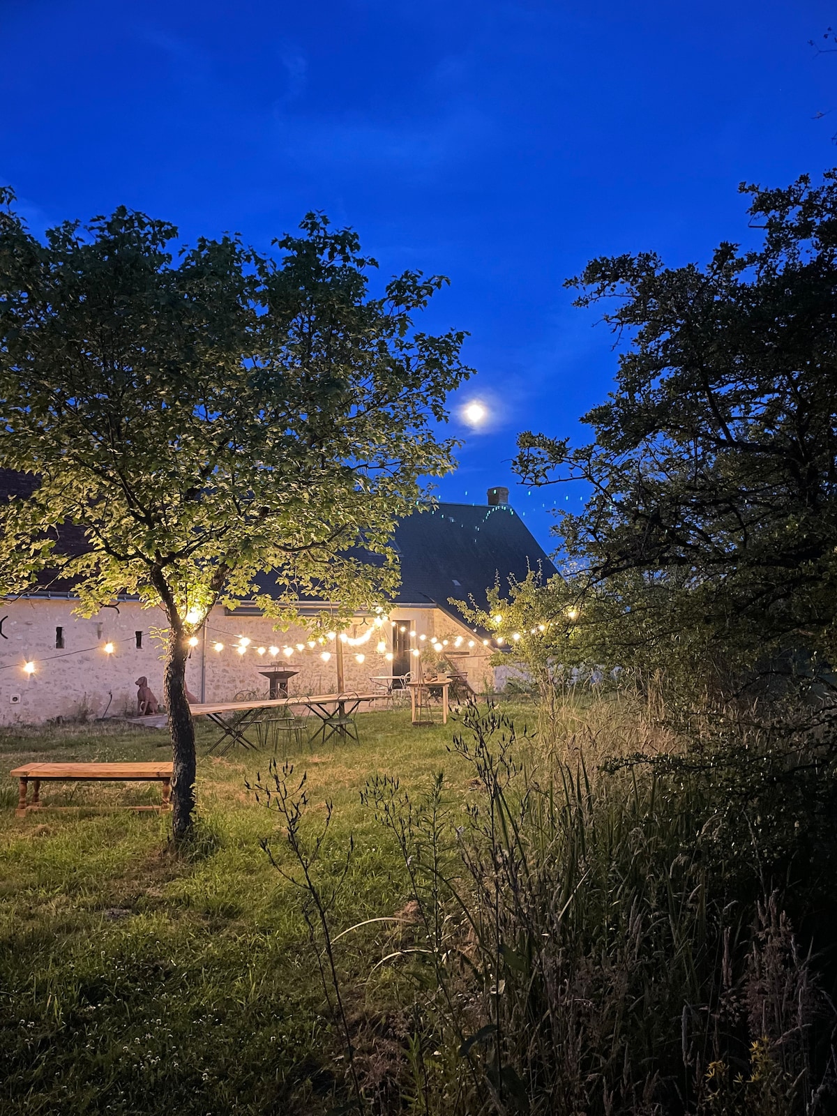 An outdoor area is illuminated by string lights, creating a welcoming atmosphere. A tree stands nearby, with lush greenery surrounding a rustic wooden table and benches. The night sky features soft cloud cover and a visible moon, enhancing the tranquil setting.